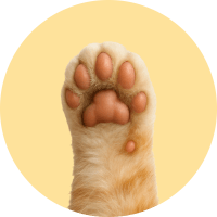 Pets